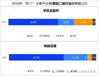 双十一数据大揭秘，购物狂欢背后的数字力量涌动