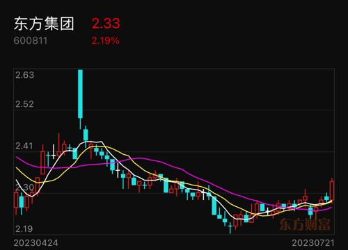 东方集团股票投资价值深度解析与探讨