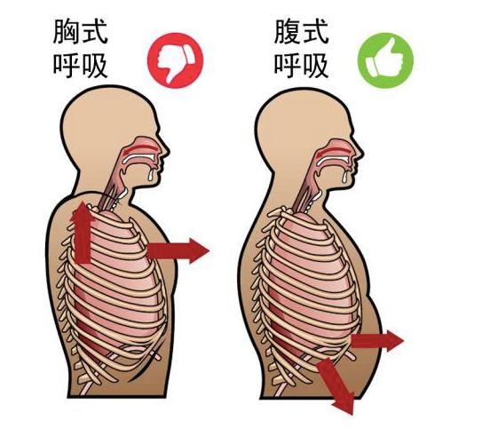 八段锦视频教学完整版，呼吸气详解