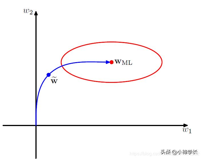 权函数的意义及其应用领域探讨