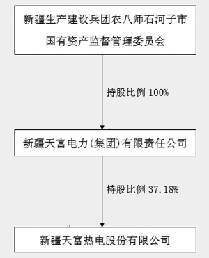 新疆天富的企业性质与特点解析，国企还是私企？