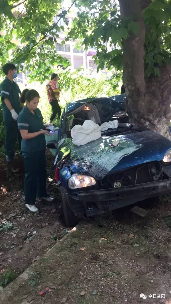 男子骗保撞树身亡背后的悲剧与警示