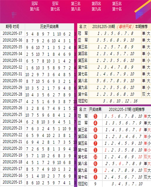 澳门最准王中王资料,专业执行问题_特别版96.696