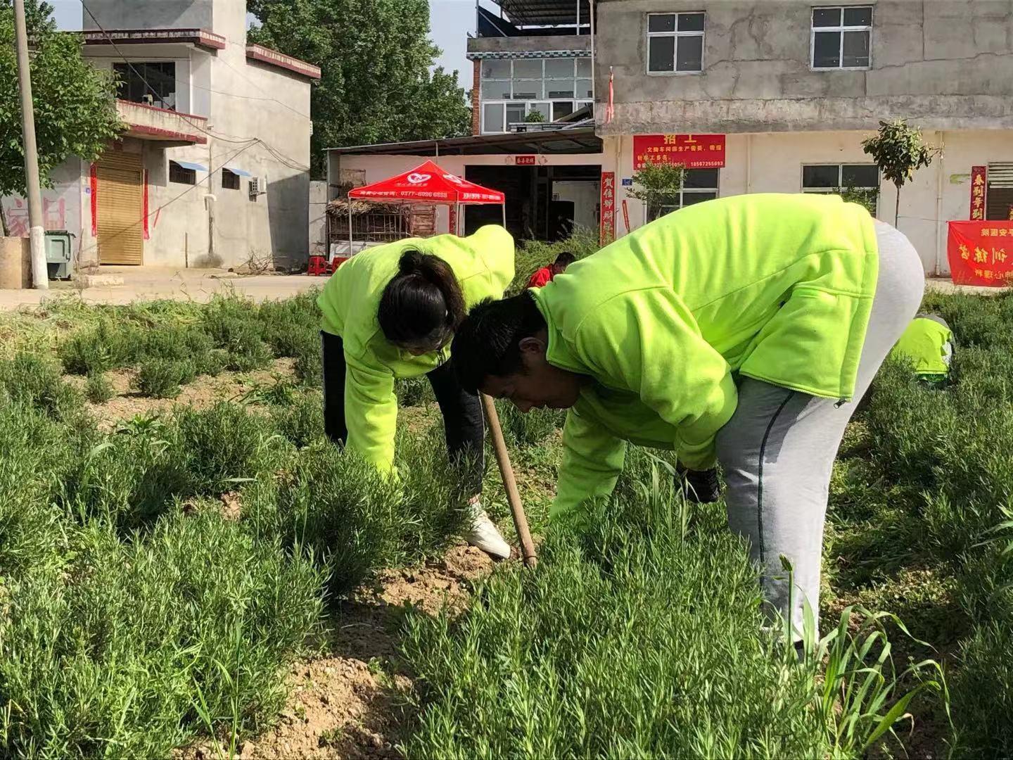 女子住进精神卫生中心8年难出院