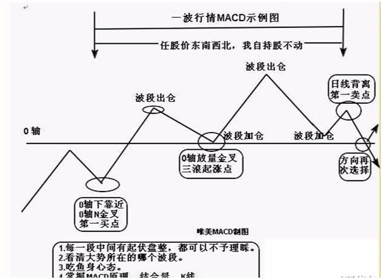 马报最新一期资料图2024版,全面解析说明_Executive44.650