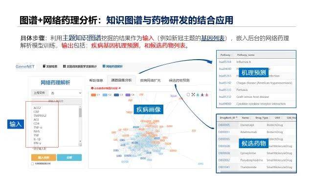 新澳最准的免费资料,深入设计数据解析_2D55.300