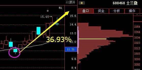 士兰微K线图深度解析，市场动向与趋势展望