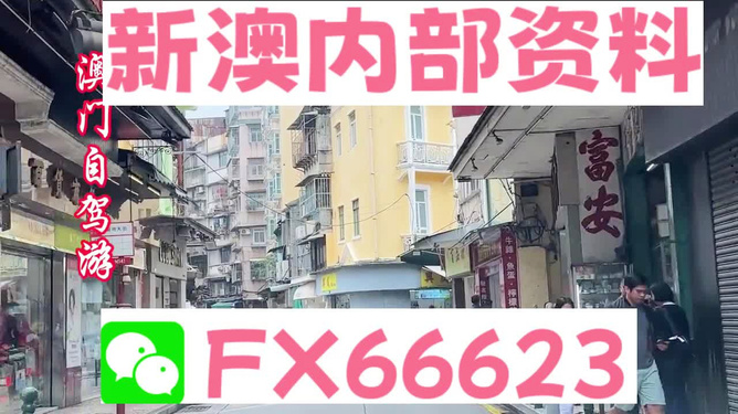 新澳精准资料免费提供最新版,经典分析说明_精装款35.474