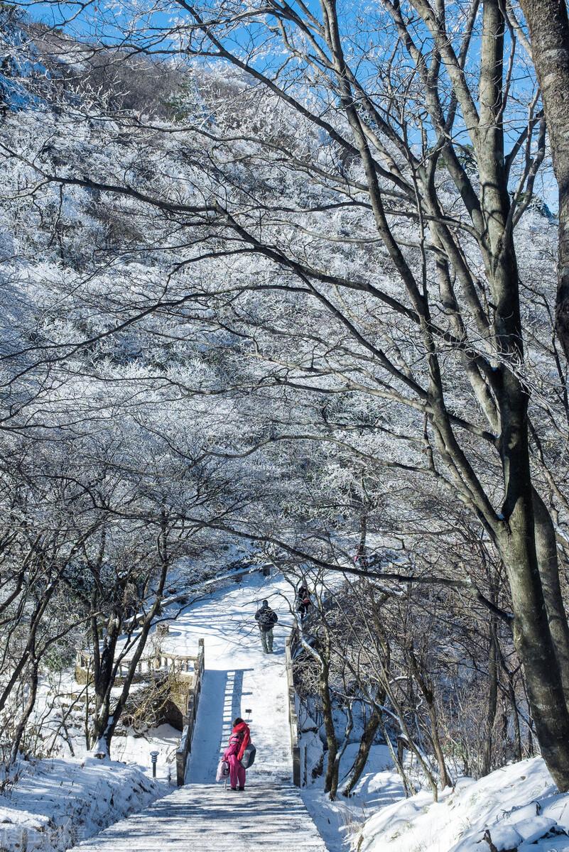 黄山金色雪景惊艳冬日，魔法般的自然杰作