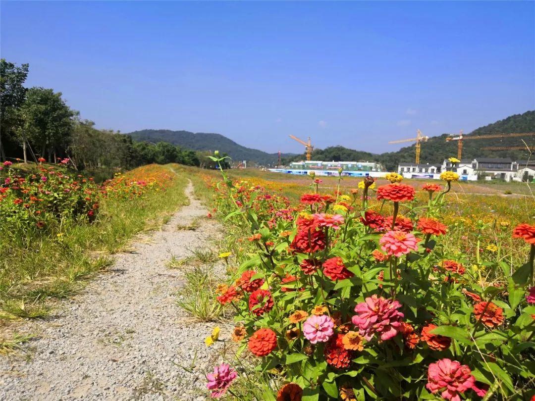 荪湖遗址重现，揭示古代文明的珍贵瑰宝