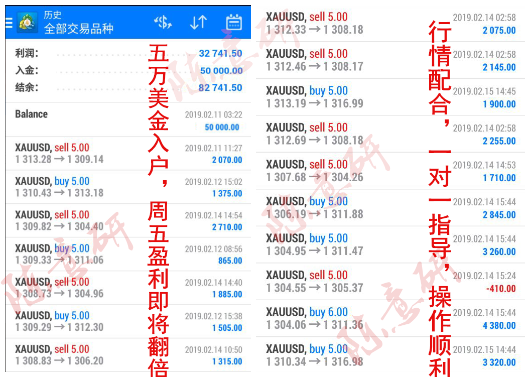 新澳门精准四肖期期中特公开,稳定执行计划_黄金版31.456