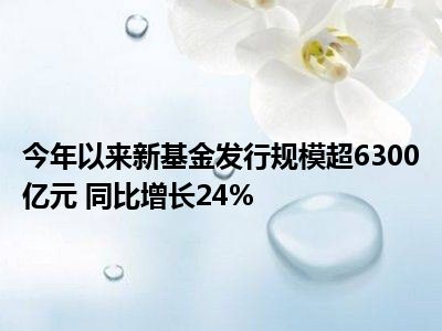 市场繁荣背后的深度解析，年内新发基金规模破万亿份