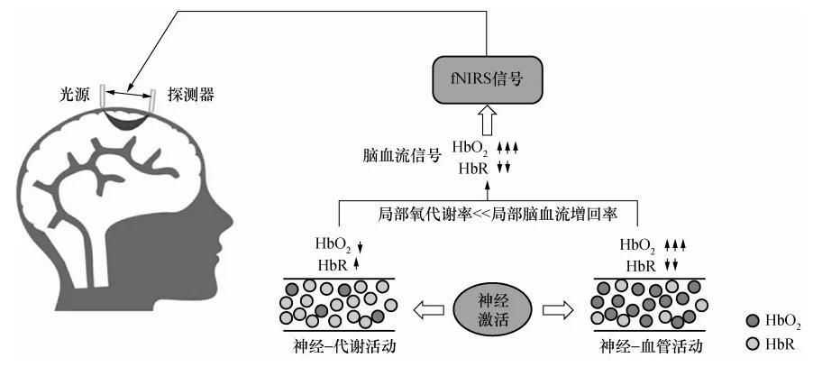 顺磁性与抗磁性，物质磁性的判断指南