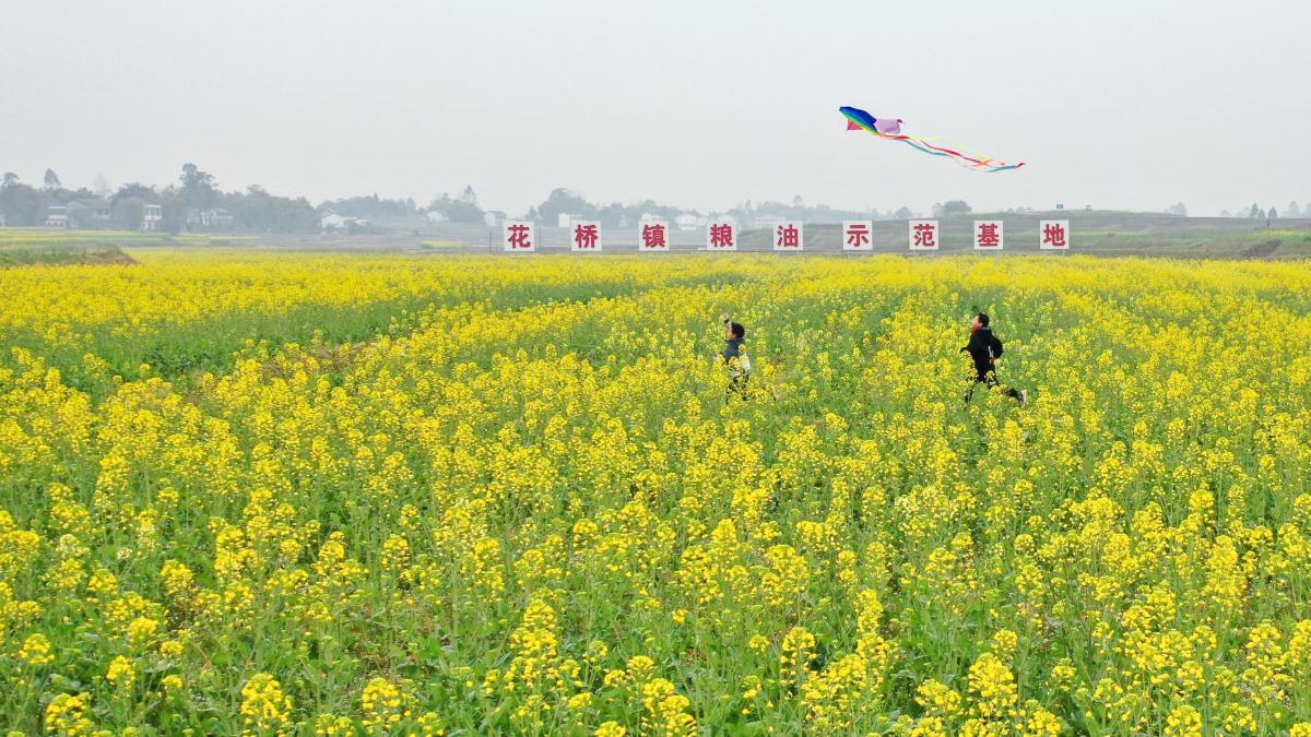 广安镇，历史底蕴与现代风采的交融胜地