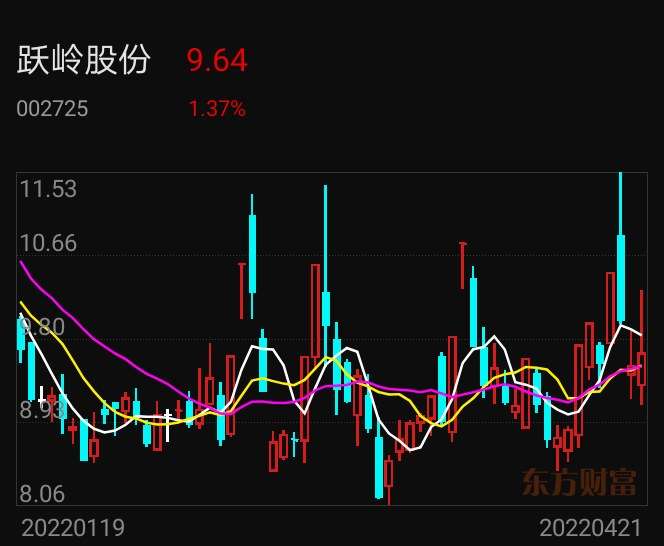 跃岭股份，实力雄厚的企业概览