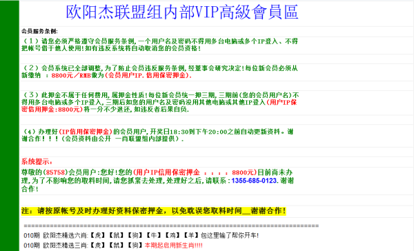 一码一肖一特一中2024,最佳选择解析说明_Advance23.851