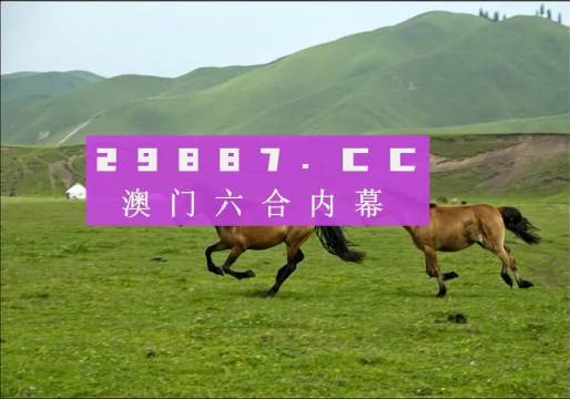 7777788888新版跑狗图,可持续实施探索_CT46.255