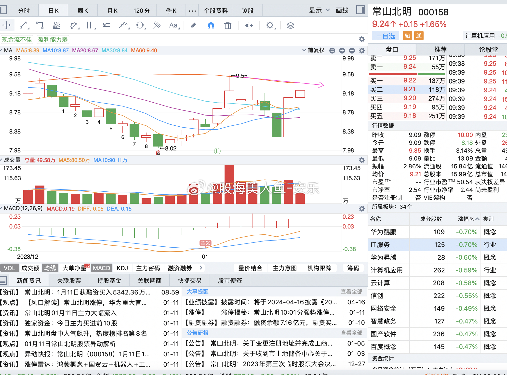 常山北明股票，投资潜力与市场前景深度解析