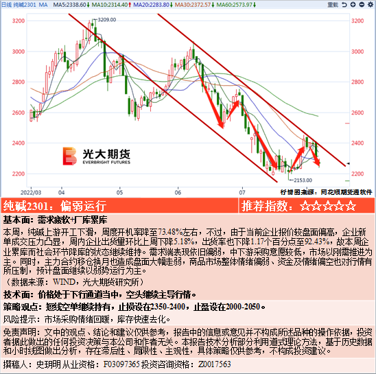 王中王100%期准一肖专家分析,统计分析解释定义_LT42.288