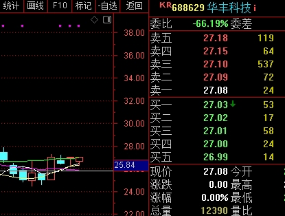 华丰科技股票股吧，深度解析及前景展望