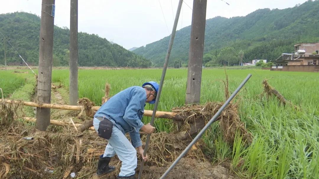 怀集县公路运输管理事业单位最新项目研究报告揭秘