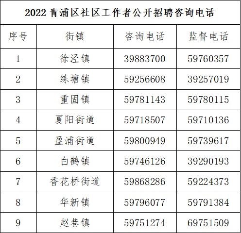 青浦区数据和政务服务局最新招聘信息全面解析