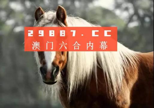 澳门选一肖一码怎么玩,实地解答解释定义_精装版82.979