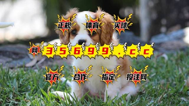 4949澳门特马今晚开奖,精准解答解释定义_tShop35.335