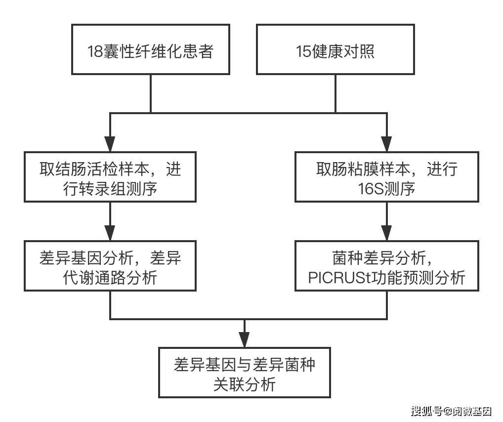 奥门管家婆一码一肖,经典解读解析_KP57.613