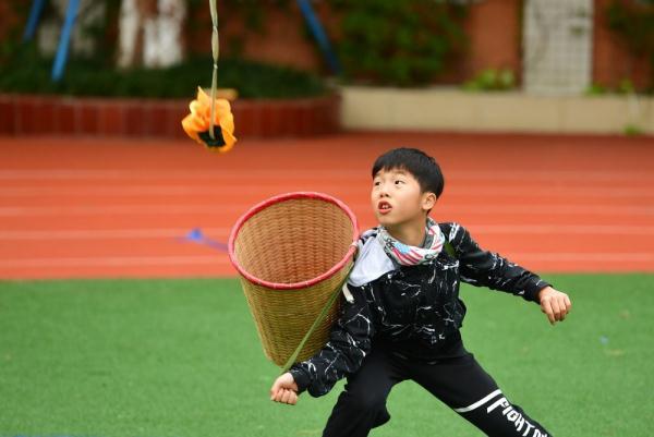 钦南区小学未来教育蓝图，发展规划揭秘