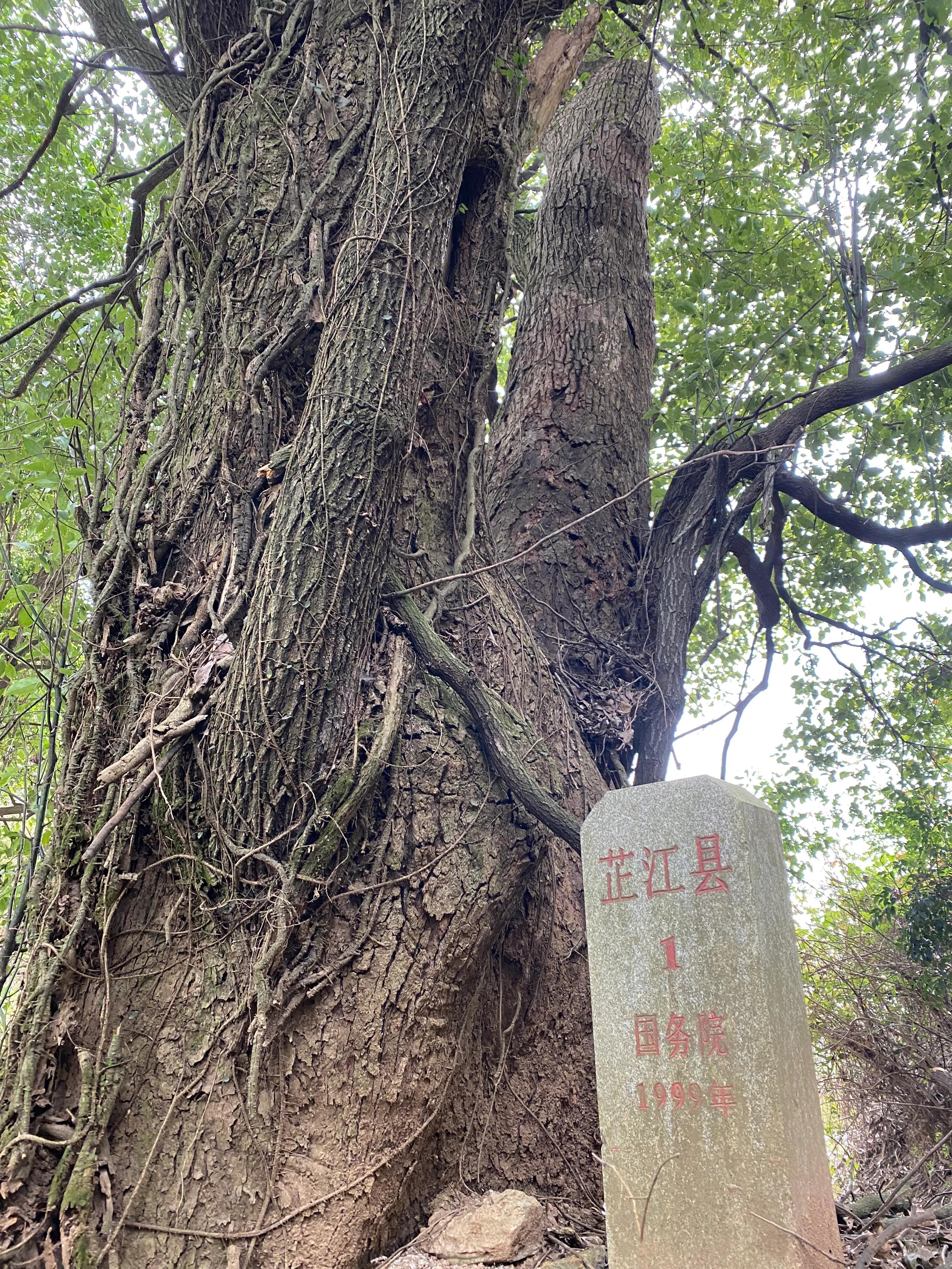 岩比村最新新闻动态