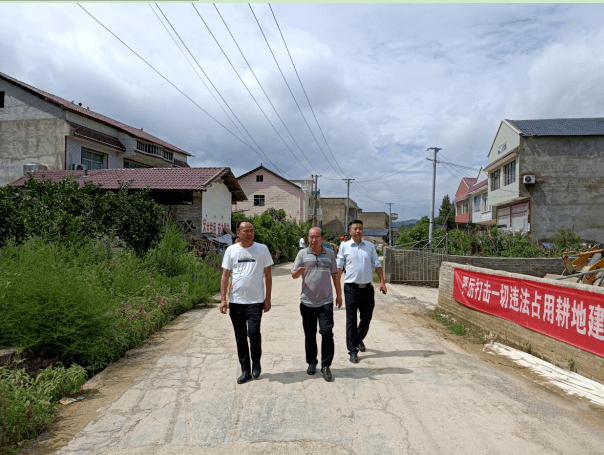 包城村委会交通新闻更新，迈向现代化交通体系的关键步伐