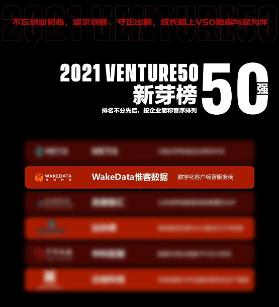 管家婆精准资料大全一肖,数据决策执行_VE版81.767