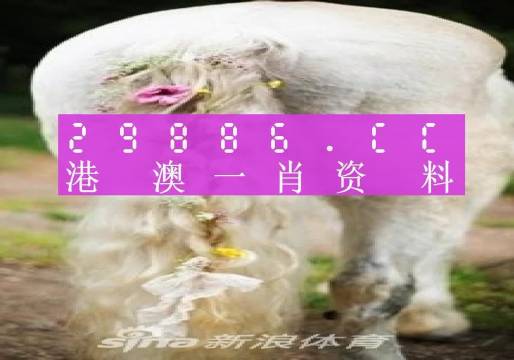 澳门一肖一码100准免费资料,综合研究解释定义_AP92.770