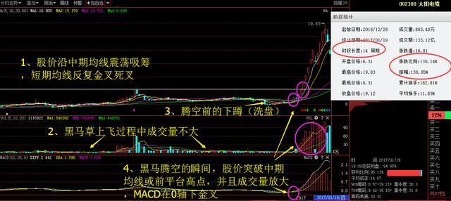 三肖三期必出特马,快速解答策略实施_VR44.17