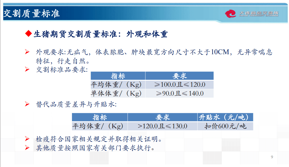 梦的彼岸