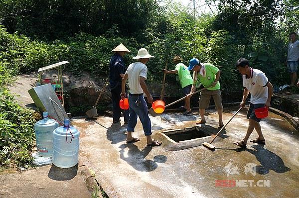 双马村新项目，乡村振兴的新动力