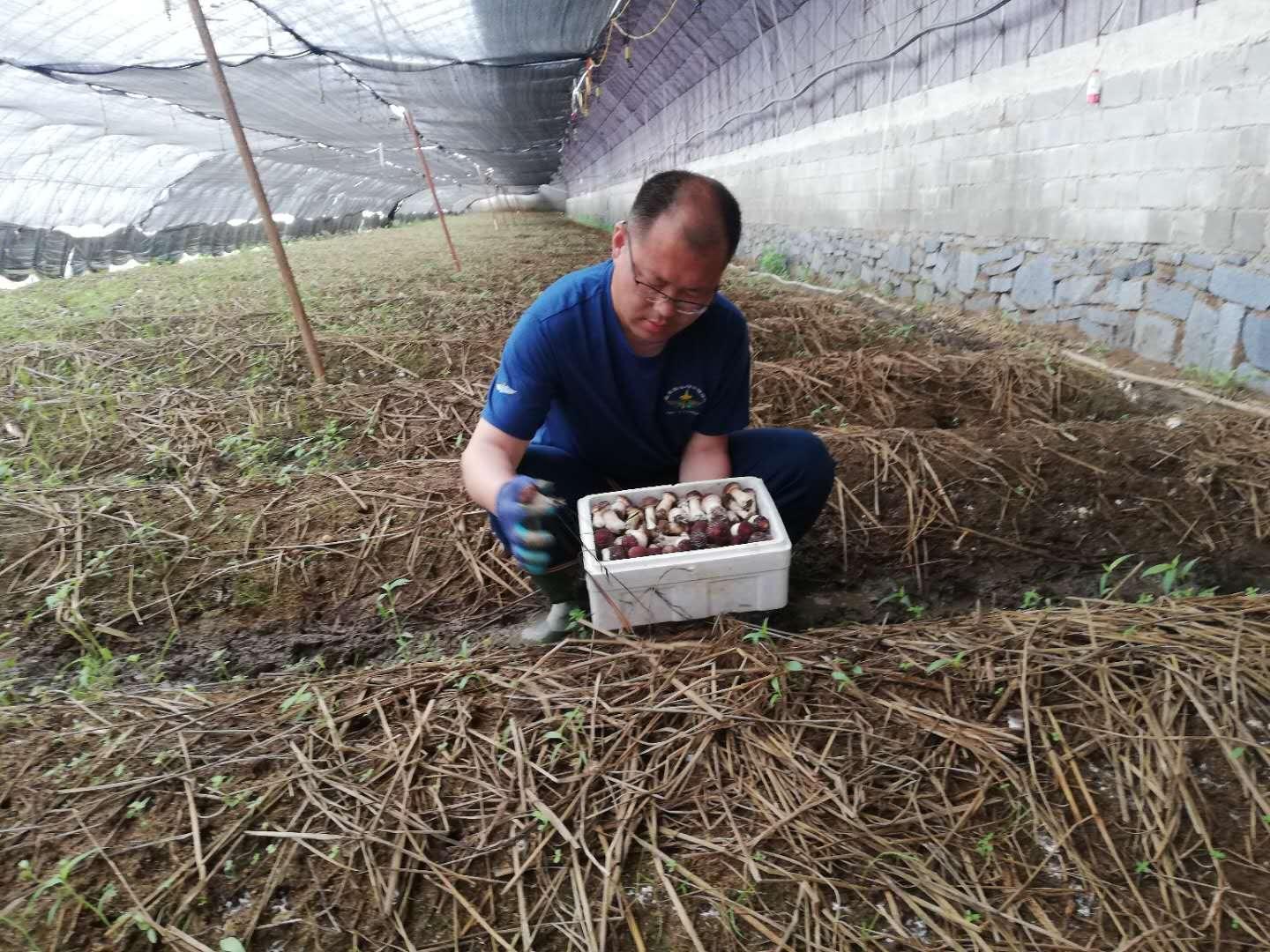 岫岩满族自治县司法局新项目探索司法创新与为民服务新路径