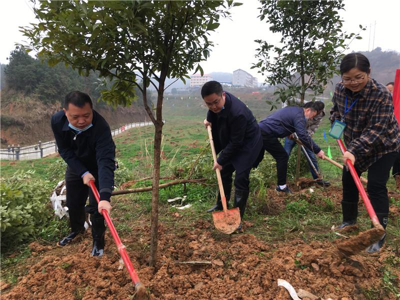 坨院街道发展规划揭秘，塑造未来城市新面貌的蓝图