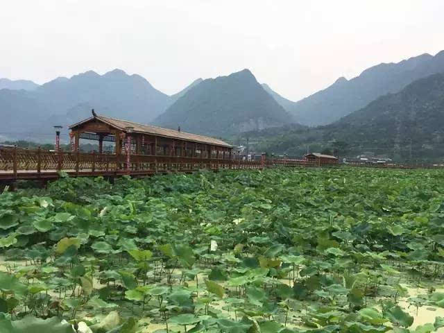 荷扎村典范项目，引领乡村发展新篇章