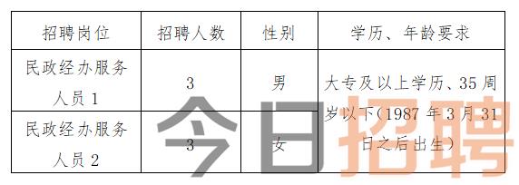 贵德县人民政府办公室最新招聘资讯概览