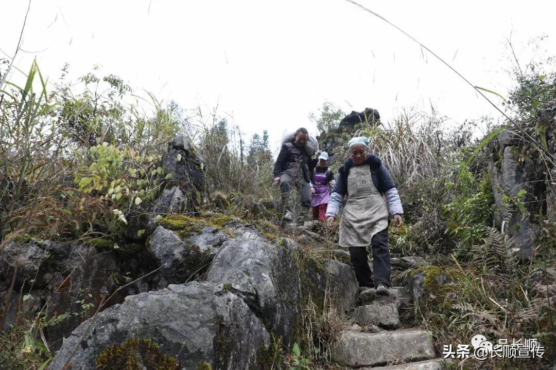 长顺县公路运输管理事业单位招聘启事