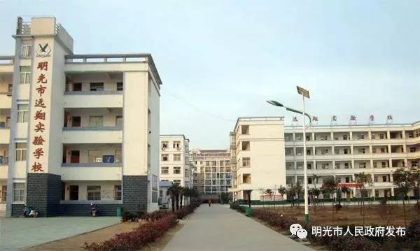 明光市小学最新招聘启事全景概览