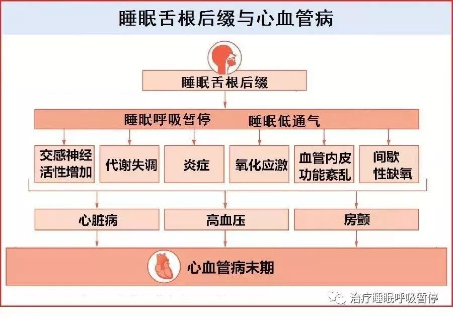 一特一码一肖,持久性计划实施_CT13.687