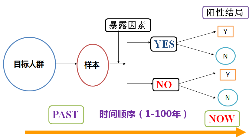 新澳2024天天正版资料大全,深度研究解析说明_开发版95.885