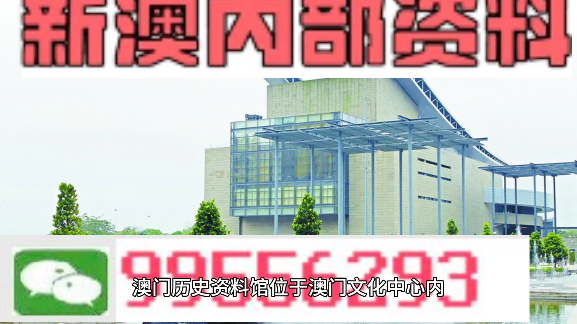 新澳门2024一肖一码精准准100_,灵活执行策略_苹果款81.393