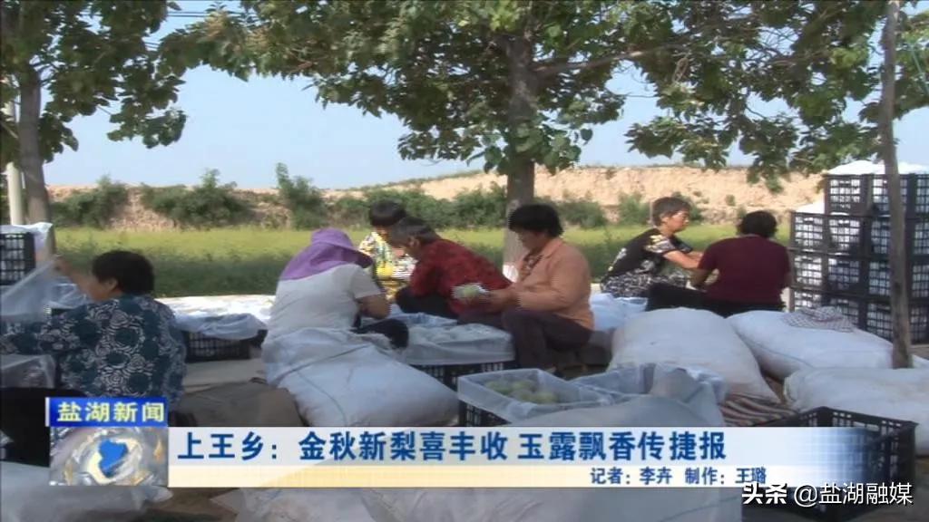 盐湖乡新项目启动，地方经济转型升级的新引擎