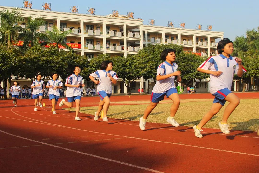 金沙县初中最新项目，引领教育革新，启航未来之光