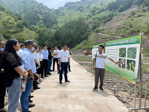 康坪乡新项目，乡村发展的强大引擎