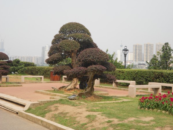 长沙市岳麓山-橘子洲旅游区游玩全攻略